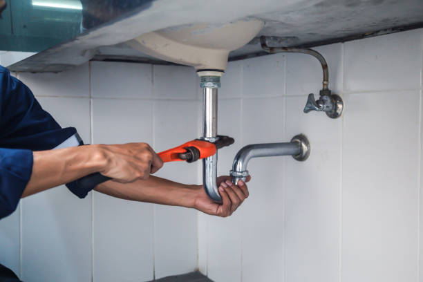 Best Residential Plumbing Services  in Pleasureville, PA