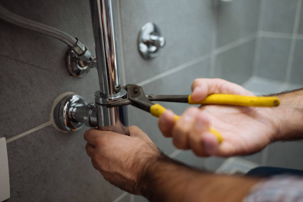Best Local Plumber Services  in Pleasureville, PA
