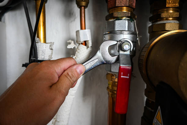 Best Best Plumbers Near Me  in Pleasureville, PA